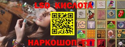 apvp Кингисепп