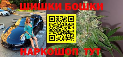 apvp Кингисепп